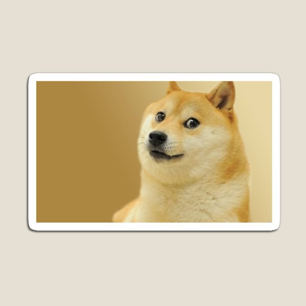 Yellow Cute Funny Doge Discord Profile Picture Avatar Template and Ideas  for Design