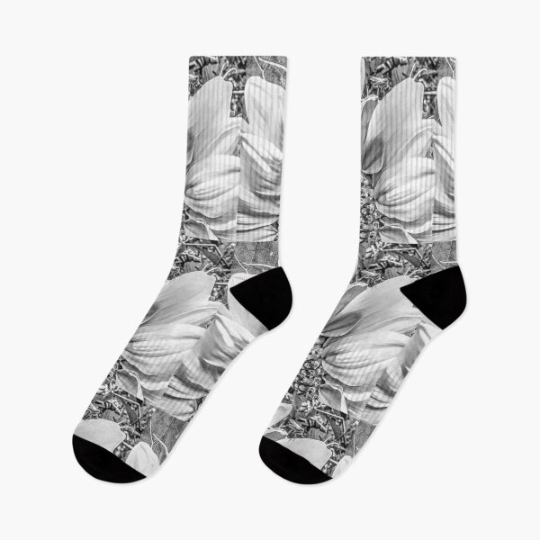 Item preview, Sunflower Process And Growth designed and sold by Burtoncolorado.