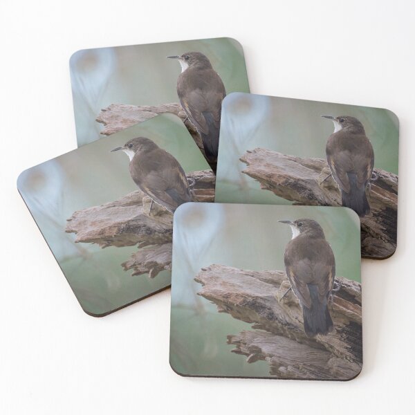 Item preview, The Tree Creeper designed and sold by D-GaP.
