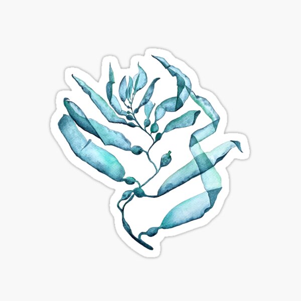 Alga Azul 4 Pegatina