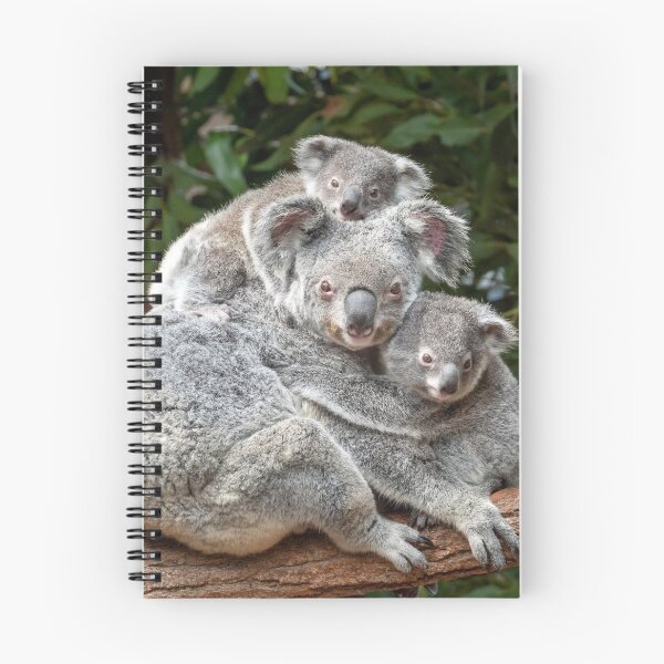 Item preview, Cuddling Koalas, Cute As Can Be designed and sold by Andrew Goodall.