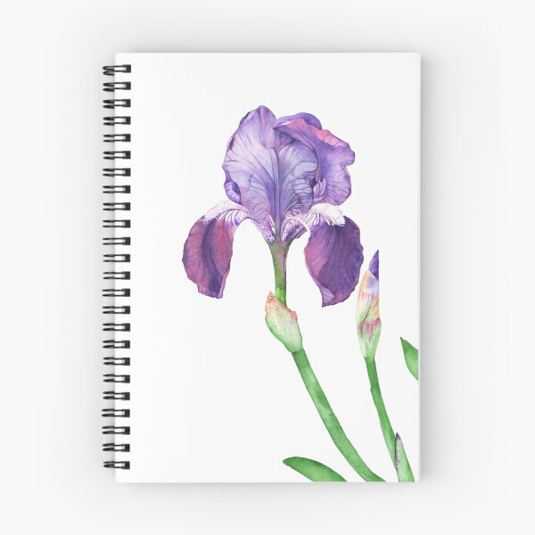Aperçu de l'œuvre Iris # 2 créée et vendue par Louise De Masi.