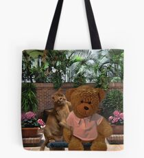 AW DON'T LOOK SO SAD TEDDY - LET ME GIVE U A HUG-PICTURE/CARD/PILLOW/TOTE BAG Tote Bag