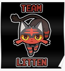 Team Litten Poster