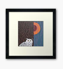 Owl Portrait Framed Print