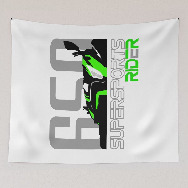 Item preview, Supersports Rider Ninja 650 designed and sold by ClavoSquare.