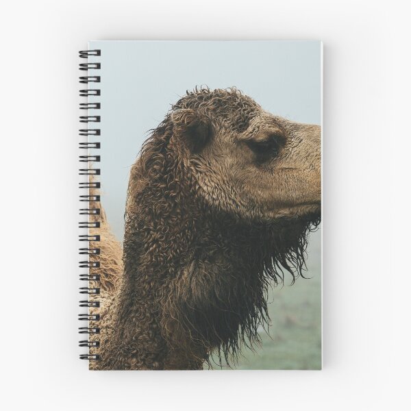 Item preview, The Camel designed and sold by Jack Chauvel.