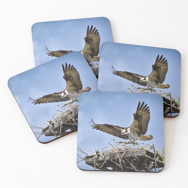 Item preview, Coming in for a Landing! designed and sold by ImagesByMiranda.