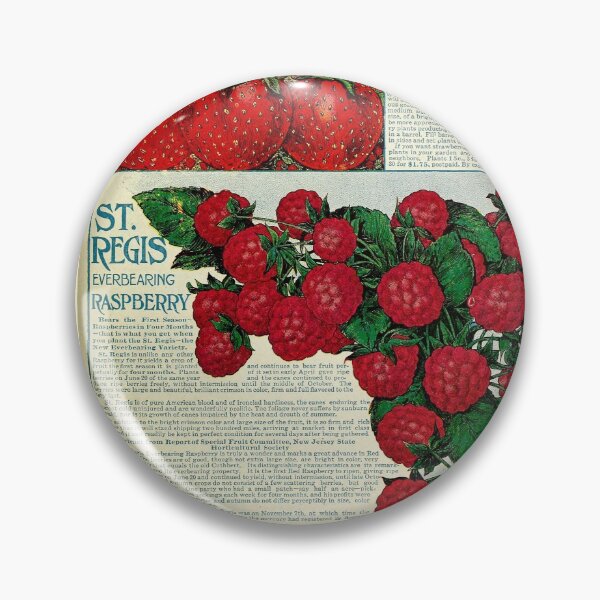 Item preview, Vintage Raspberry Seed Catalog Print (1912) designed and sold by Douglas E. Welch Design and Photography.