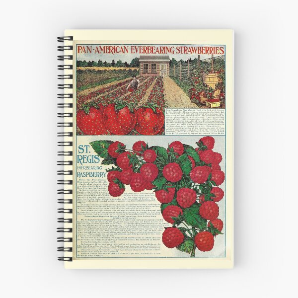 Item preview, Vintage Raspberry Seed Catalog Print (1912) designed and sold by Douglas E. Welch Design and Photography.