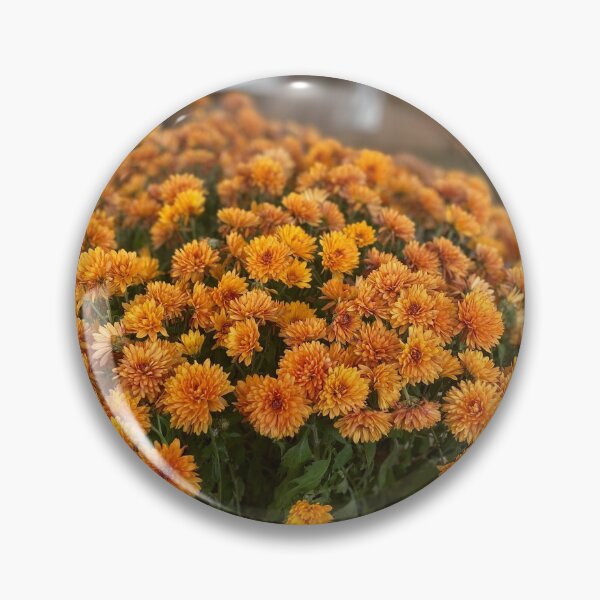 Item preview, Fall Mums designed and sold by Artsyphotos8.
