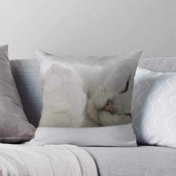 Item preview, Night Night Archie designed and sold by KAGPhotography.