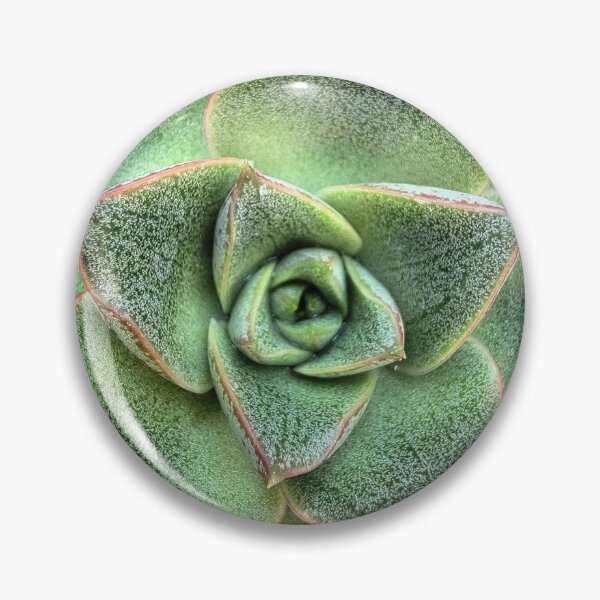 Item preview, Textured Succulent designed and sold by KristenRising.