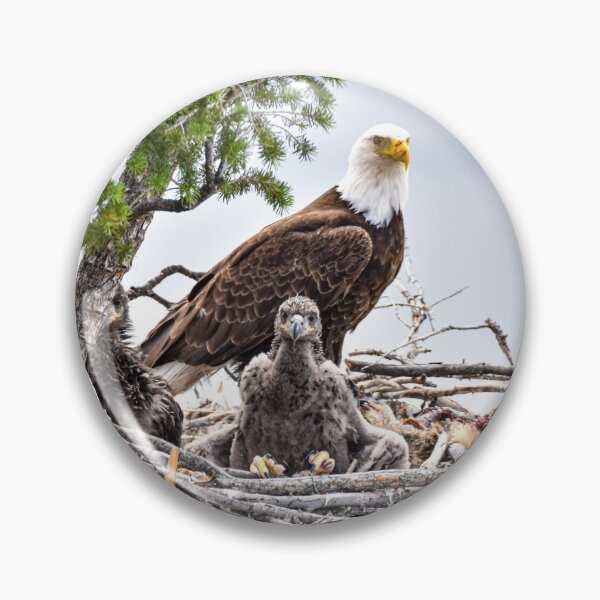 Item preview, "Mom, What's that Creature?" designed and sold by ImagesByMiranda.
