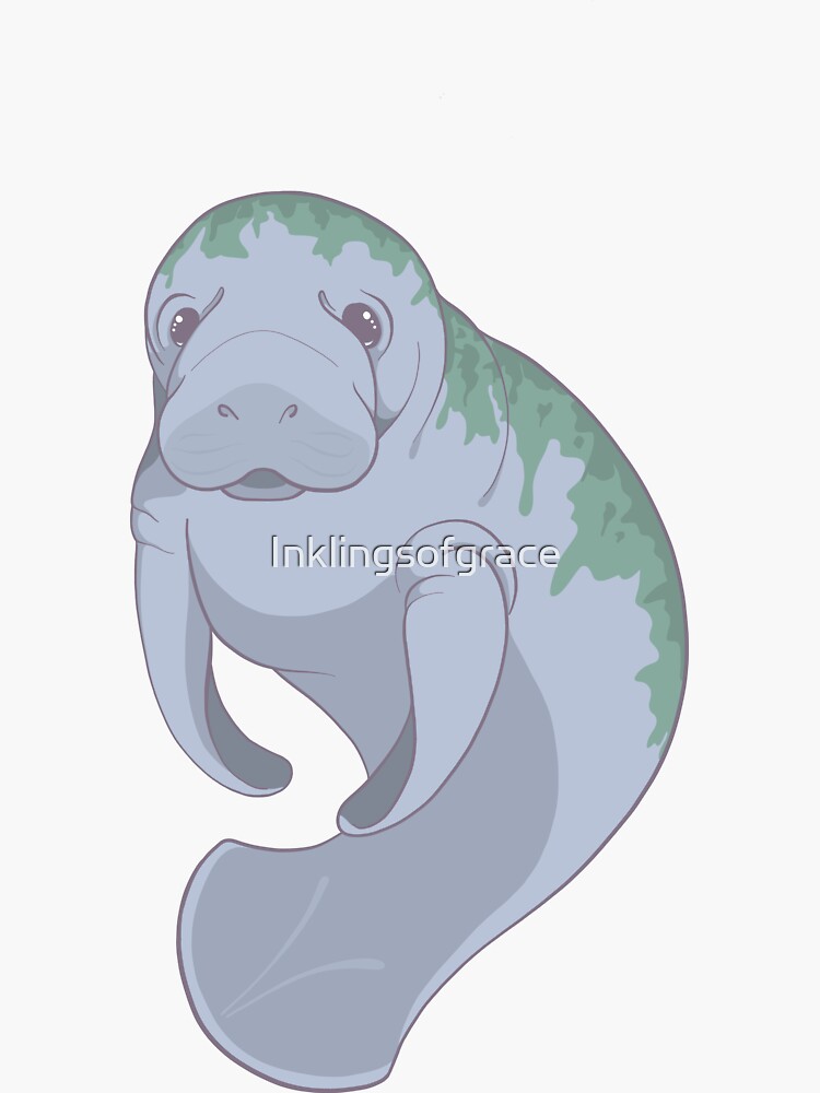 Cute Underwater Manatee with Algae, no background by Inklingsofgrace