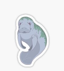 Cute Underwater Manatee with Algae, no background Sticker
