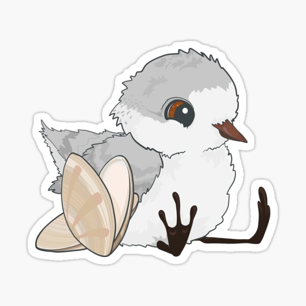 Piper - Baby Sandpiper with Shells Sticker