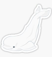 Adorable Beluga Whale Design Sticker