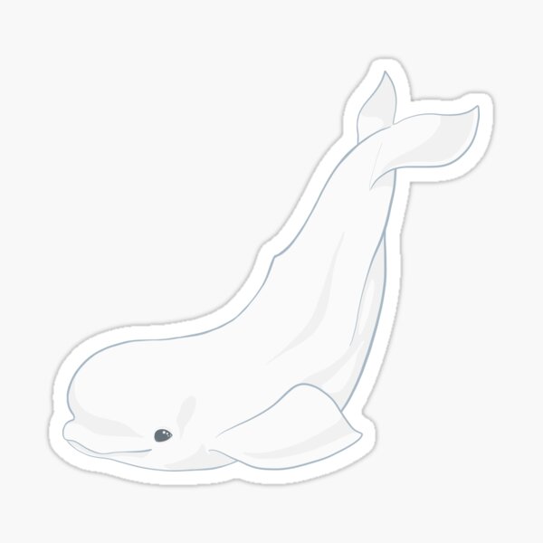 Adorable Beluga Whale Design Sticker