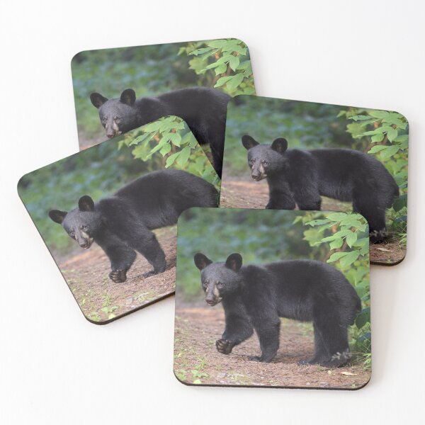 Item preview, Black Bear Cub designed and sold by mlorenz.