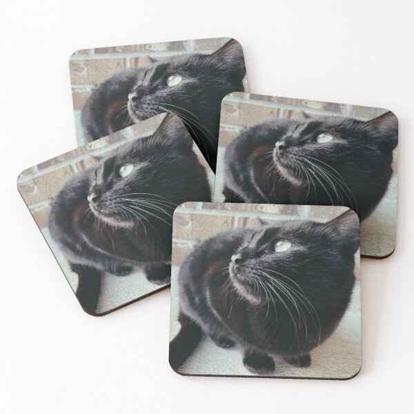 Item preview, Black Cat Looking Up designed and sold by jnbr.
