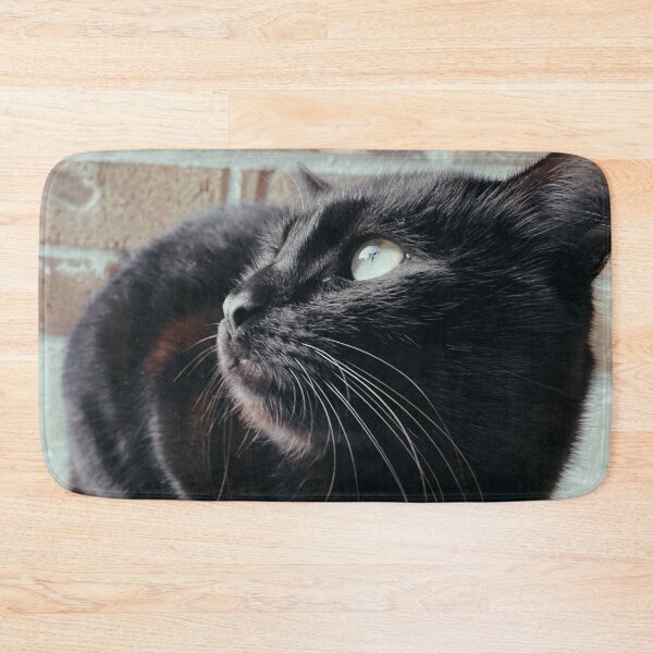 Item preview, Black Cat Looking Up designed and sold by jnbr.