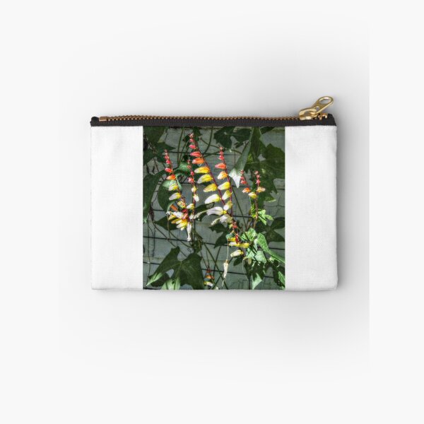 Item preview, Candy Corn Flowers -  Ipomoea lobar – Spanish Flag vine designed and sold by Jane Neill-Hancock.