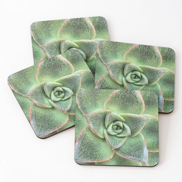 Item preview, Textured Succulent designed and sold by KristenRising.