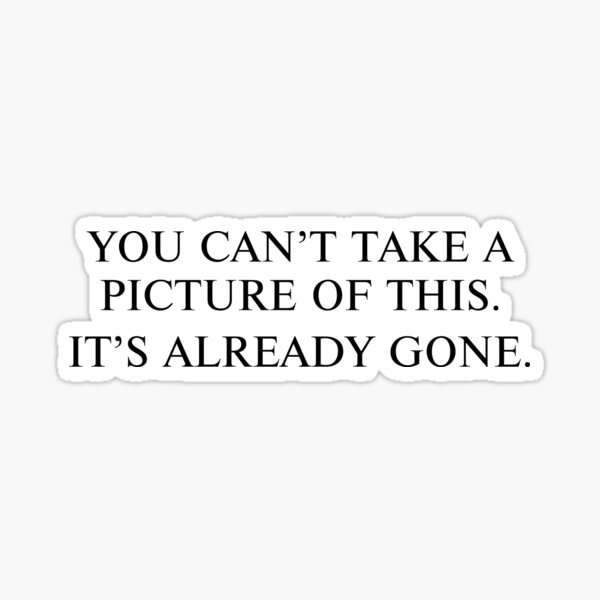 "You Can't Take a Picture of This It's Already Gone 2" Sticker for Sale