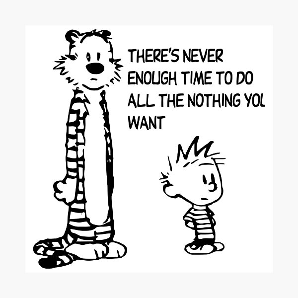 Calvin Hobbes Photographic Print