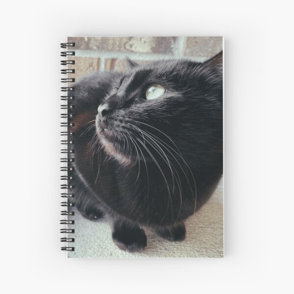 Item preview, Black Cat Looking Up designed and sold by jnbr.