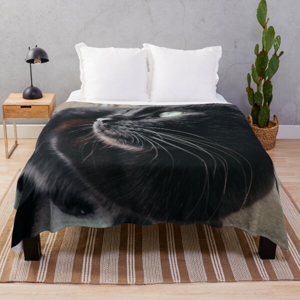 Item preview, Black Cat Looking Up designed and sold by jnbr.