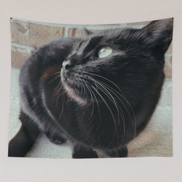 Item preview, Black Cat Looking Up designed and sold by jnbr.