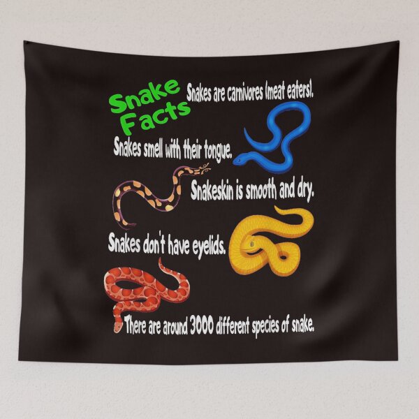 Item preview, Snake Facts designed and sold by herrerabird67.