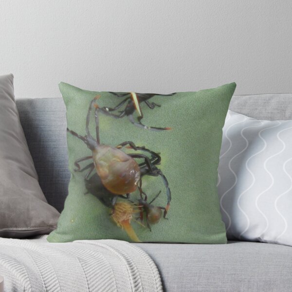 Item preview, Hop on Pop? Or Moulting? designed and sold by Navigator.