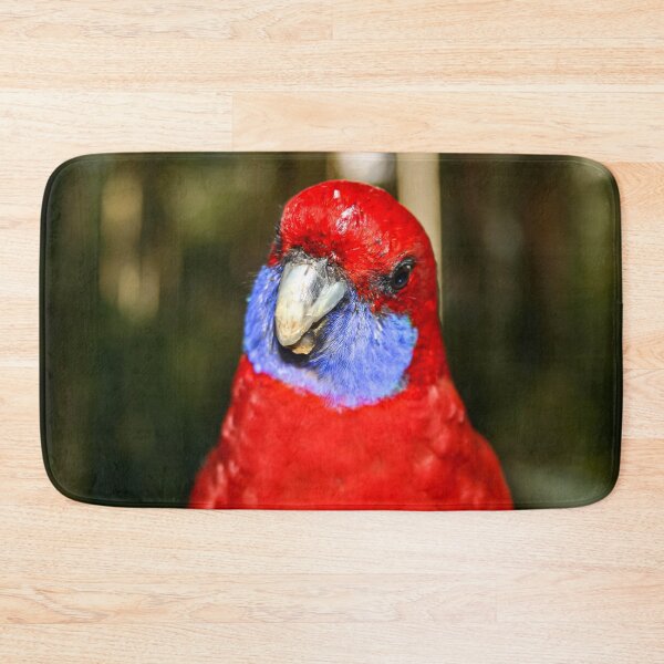 Item preview, Bright red Australian native Rosella bird looking curiously at the camera lens designed and sold by James-Cole.