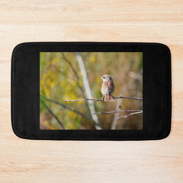 Item preview, The colors of fall are creeping in. Red-backed shrike designed and sold by Jouko Lehto Photography.