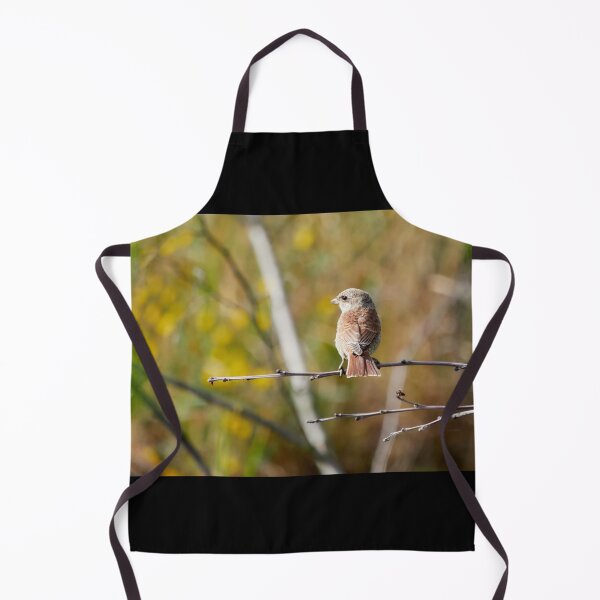 Item preview, The colors of fall are creeping in. Red-backed shrike designed and sold by Jouko Lehto Photography.