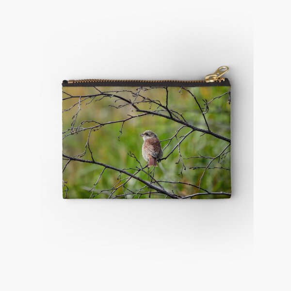 Item preview, Still so young. Red-backed shrike designed and sold by Jouko Lehto Photography.