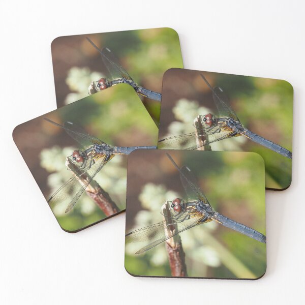 Item preview, Blue dasher dragonfly (Pachydiplax longipennis) designed and sold by SDym Photography.