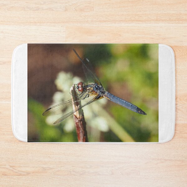 Item preview, Blue dasher dragonfly (Pachydiplax longipennis) designed and sold by SDym Photography.