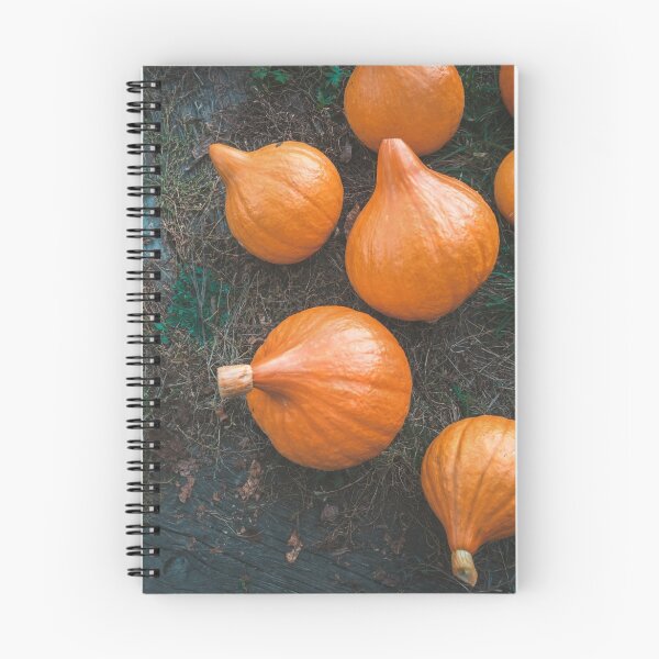 Item preview, Harvest of local rural farmer. Halloween pumkings. Village. designed and sold by Mehendra.