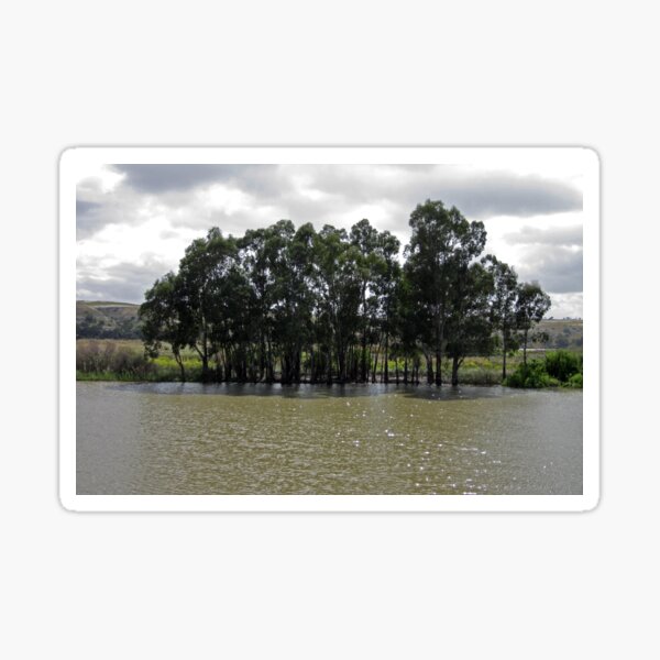 Item preview, Murray River Trees designed and sold by Honey Myrtle Studio.