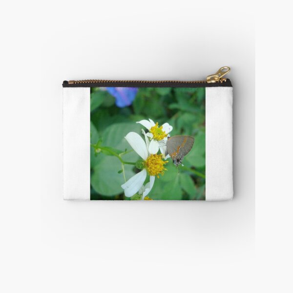 Item preview, Banded Hairstreak in Spanish Needles designed and sold by May Lattanzio.