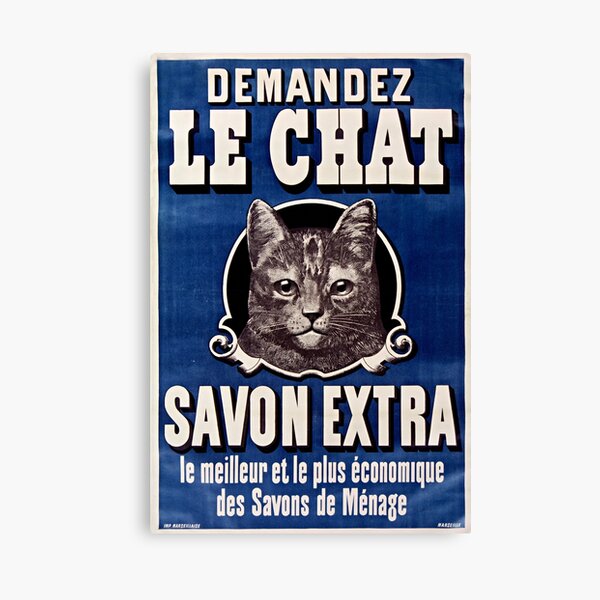 Chat Canvas Prints For Sale Redbubble