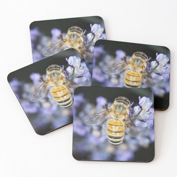 Item preview, Honey bee (Apis mellifera) gathering nectar on lavender flowers designed and sold by SDym Photography.