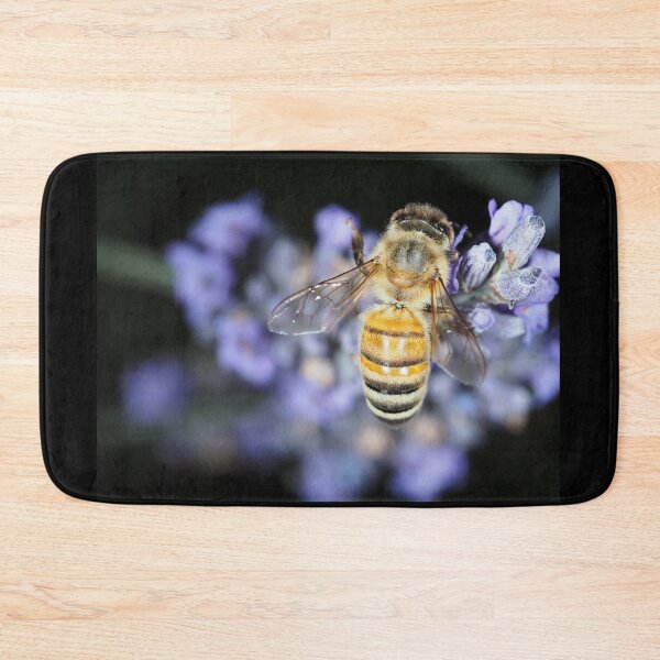 Item preview, Honey bee (Apis mellifera) gathering nectar on lavender flowers designed and sold by SDym Photography.