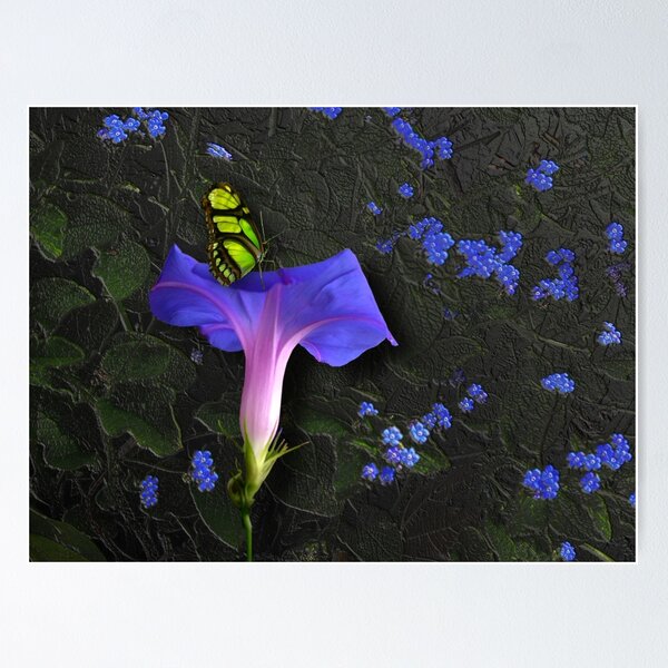 Item preview, 3555 designed and sold by peter holme III.