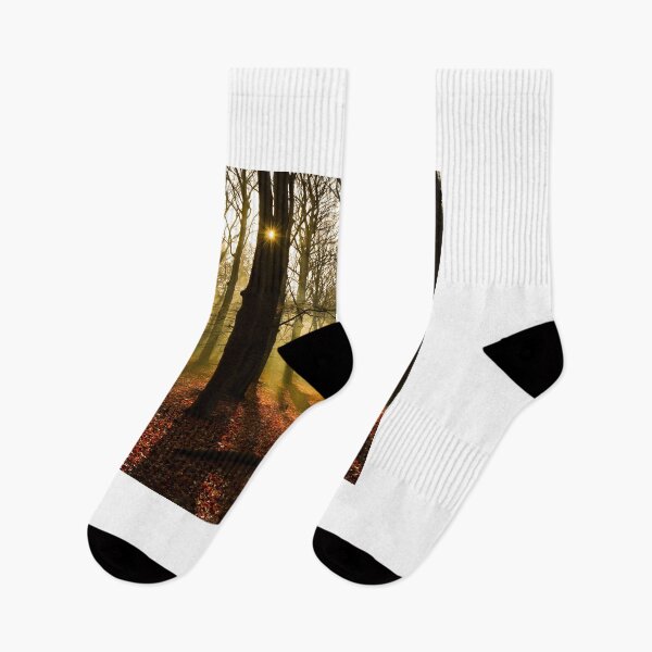 Item preview, Fog in the woods  designed and sold by Anita van Gendt.