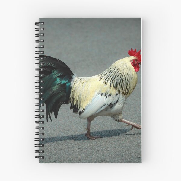 Item preview, Gallo caminando por una carretera designed and sold by Anita van Gendt.